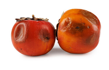 Two rotten spoiled persimmons isolated on white background.