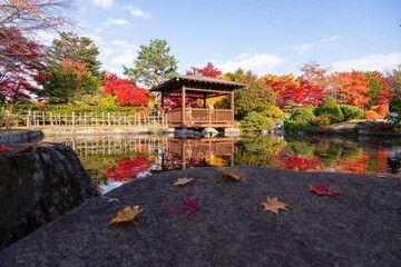 北海道　札幌　平岡樹芸センター　紅葉　もみじ　トンネル