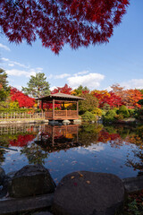 北海道　札幌　平岡樹芸センター　紅葉　もみじ　トンネル