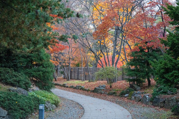 北海道　中島公園　紅葉　蓮池　秋　オータム　銀杏　もみじ　豊平館