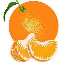Whole Orange and Peeled Segments with Green Leaf on a White Background Vector Illustration