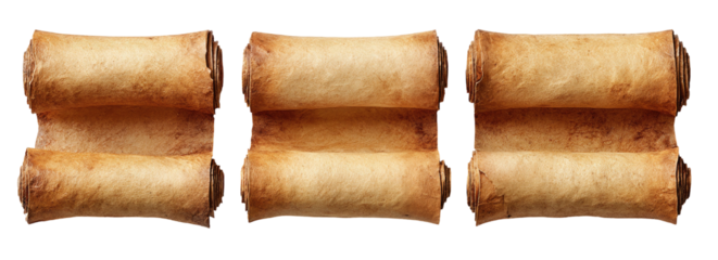 Three rolled, aged paper scrolls, side by side