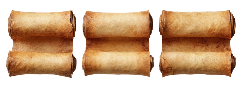 Three rolled, aged paper scrolls, side by side