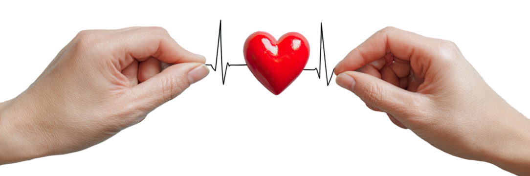 Two hands gently holding a vibrant red heart on transparent background - Powered by Adobe