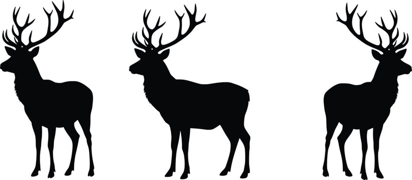 Silhouette of majestic deer with antlers, wildlife illustration, forest animal shadow, elegant stag artwork, hunting symbol, nature design