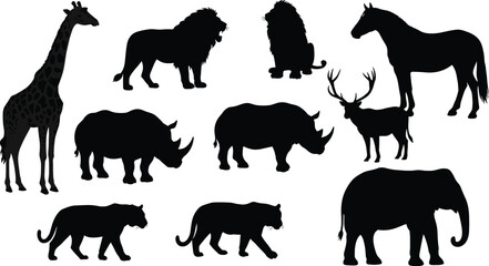 Wild animal silhouettes collection, giraffe, lion, horse, rhino, elephant, deer, tiger, safari animals, jungle wildlife vector design
