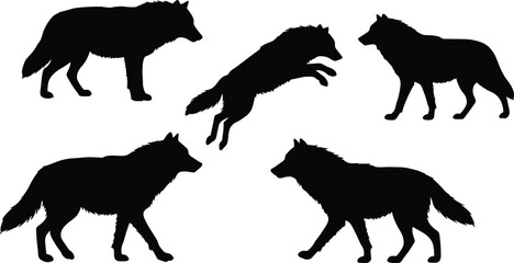 Wolf silhouettes collection, wild animal vector illustration, black wolf design, walking running jumping poses, forest wildlife artwork, predator canine graphic