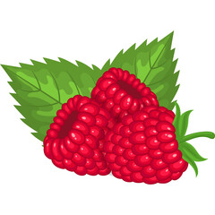 Three Ripe Red Raspberries With Green Leaves Isolated On A Transparent White Background Vector Art