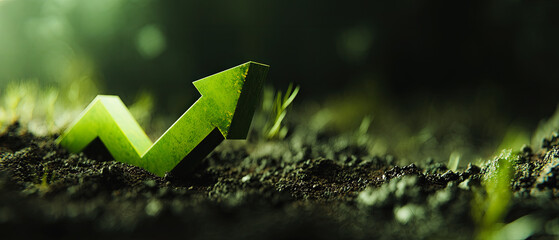 Green arrow rising from the ground symbolizing growth and positive direction in a natural environment