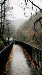 Serene Pathway Through Misty Forest with Fallen Leaves and Water