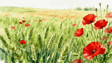 Nature's Beauty Wheat and Poppies isolated watercolor vector illustration svg © Arun168