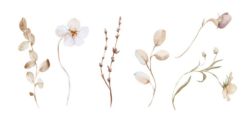 Watercolor hand drawn botanical set. Watercolor plants and botany