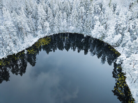 Aerial view of a serene snow-dusted shoreline of Suur Kaksjarv Lake in Estonia, with calm unfrozen water.