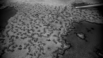 Scenic flight perspective over Queensland coral reef showing colors, textures and marine beauty