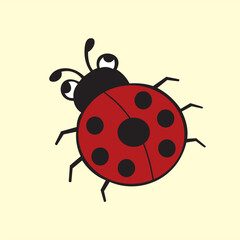 Vector design of a picture of a very cute and colorful little beetle, very suitable for use as a learning picture or other image.