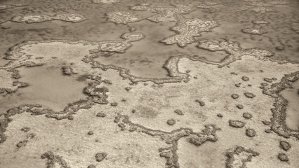 Monochrome aerial landscape showing Queensland ocean waters and intricate natural reef formations
