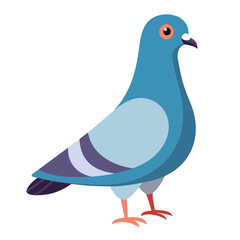 Vector Illustration of Pigeon – Isolated on White Background