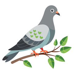 dove on branch