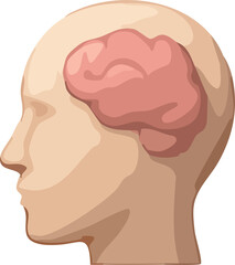 A side-view human head icon with a simplified pink brain illustration visible on the back of the skull.