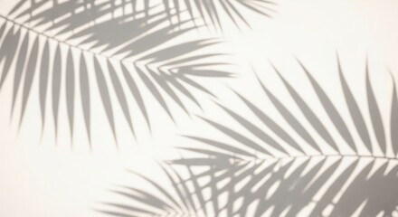 Obraz premium Shadows of palm leaves create a beautiful pattern on a light background during sunny afternoon hours