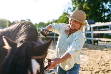 Older woman taking care of horse on farm.
