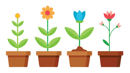 Houseplants in Pots – Isolated White Background