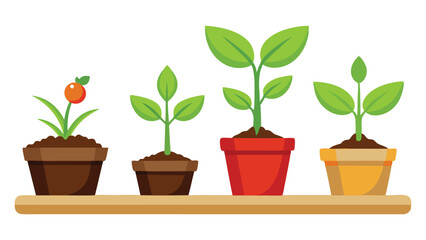 Indoor Plant Collection in Pots – Vector Illustration