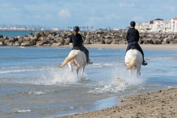 Chevaux camarguais au bord de la mer méditerranée, promenade à cheval