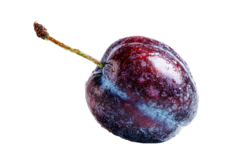 Plum illustrated in monochrome ink style isolated on transparent background