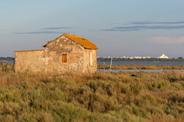 Cabanon au milieu des &eacute;tang de Camargue