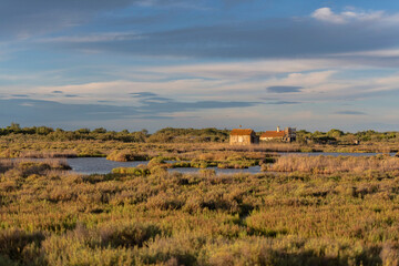 Cabanon au milieu des &eacute;tang de Camargue