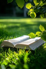 Open book lying on grass in nature, light green and white background with soft lighting for reading and relaxation concept.