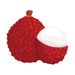 Lychee fruit. Vector illustration. Highlights and shadows. Isolated on white background.