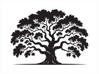 Fototapeta premium Oak Tree Silhouette – Large Old Tree Vector Illustration