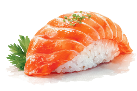 watercolor illustration of salmon nigiri sushi, fresh orange salmon slice on vinegared rice | transparent png