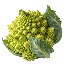 Cauliflower isolated on a transparent background
