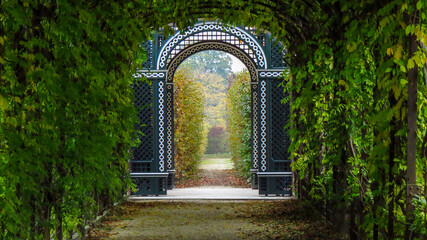 Garden in Keukenhof, conical hedges lines, Netherlands, Europe
