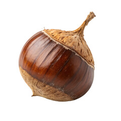 Onion isolated on a transparent background

