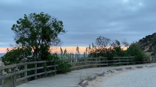 wooden path leads through dunes and trees toward the ocean horizon under the soft Algarve sky in Zavial beach