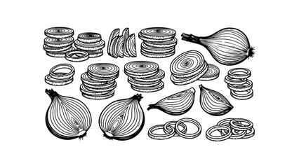 A set of detailed, hand-drawn onion illustrations in a black and white engraving style, showing whole bulbs, halves, wedges, and various sliced rings
