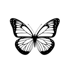 Elegant Vibrant Butterfly Vector Design