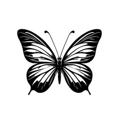 Elegant Detailed Butterfly Vector Illustration