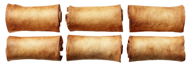 Six vintage, rolled parchment scrolls on a black background