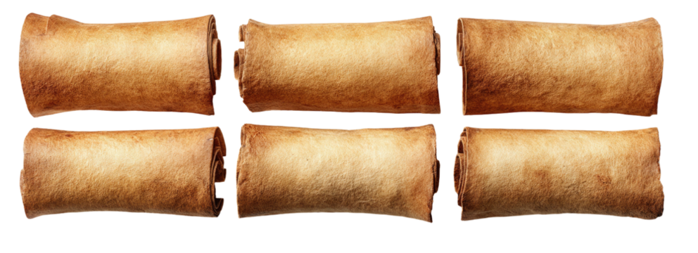 Six vintage, rolled parchment scrolls on a black background