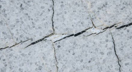 Weathered Stone Surface: A close-up view reveals a textured stone surface with intricate cracks running across its pale surface, evoking a sense of time and history.