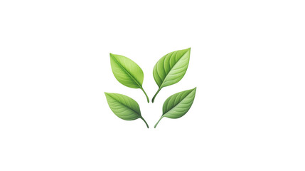 Green leaf elements set isolated on white