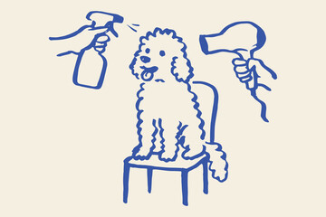 Poodle grooming with dryer hand drawn sketch vector illustration