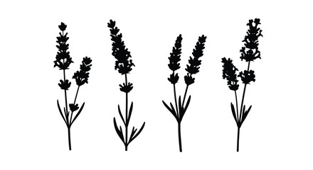 Silhouette of lavender flower for decoration © Nur