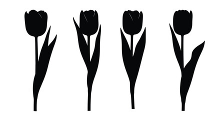 Four tulip silhouettes for floral arrangement