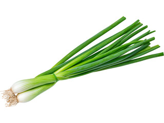 Green onion stalks isolated on transparent background. Perfect for food, ingredient, and cooking design.